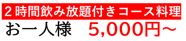 お一人様　5,000円～